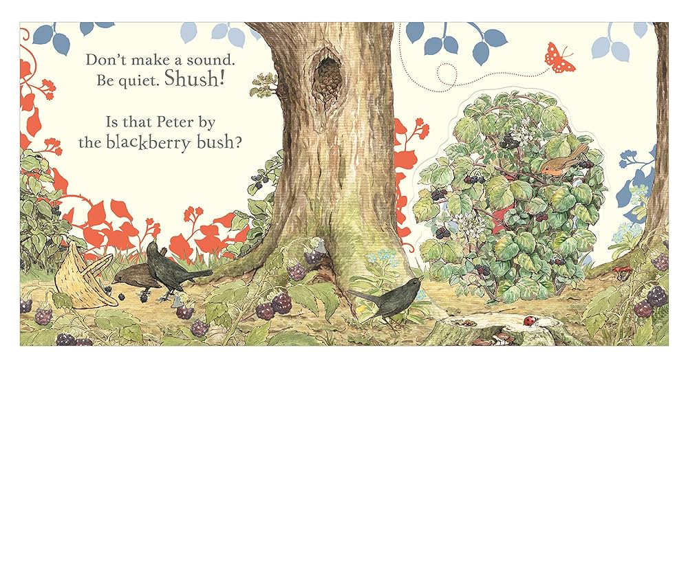 WHERE IS PETER RABBIT?