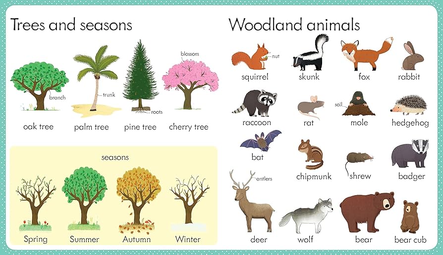 Usborne - My First Word Book About Nature