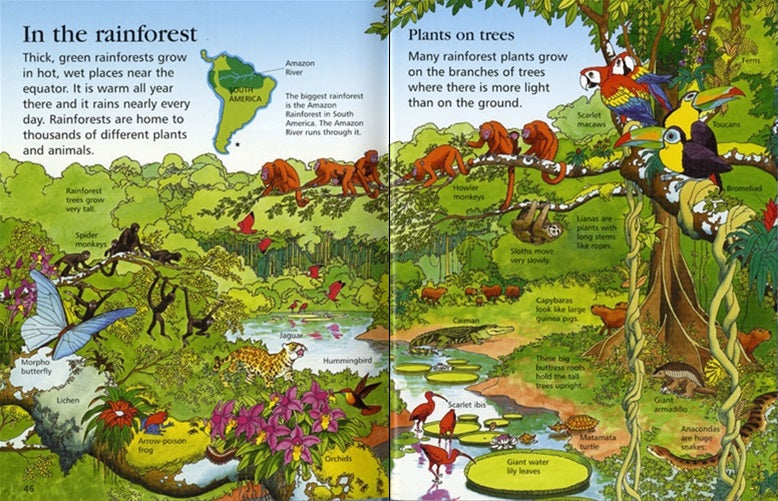 Usborne First Encyclopedias – Our World (Felicity Brooks)
