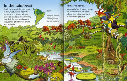 Usborne First Encyclopedias – Our World (Felicity Brooks)