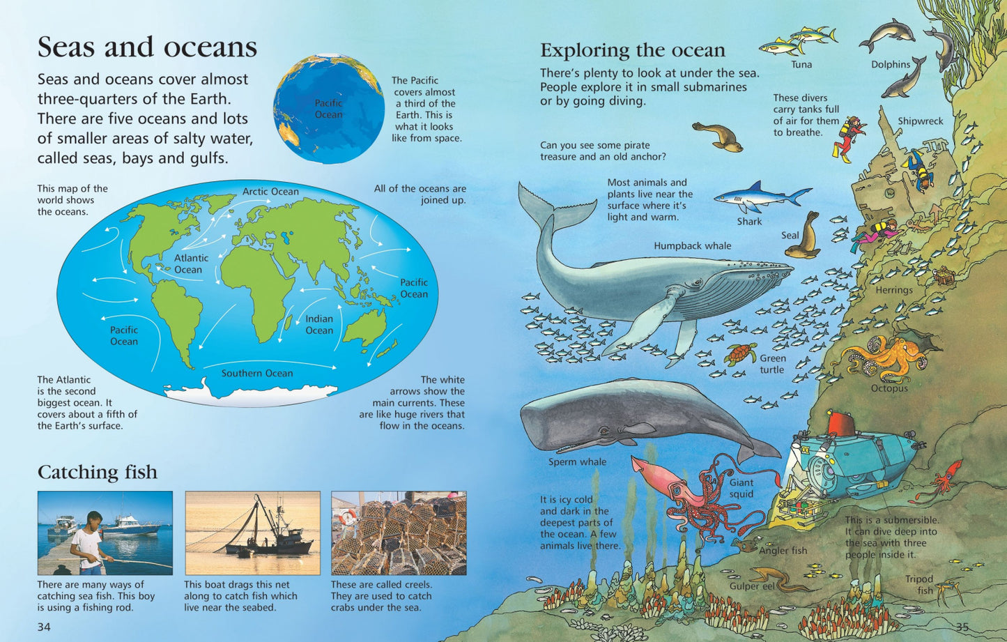 Usborne First Encyclopedias – Our World (Felicity Brooks)