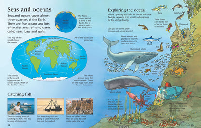 Usborne First Encyclopedias – Our World (Felicity Brooks)