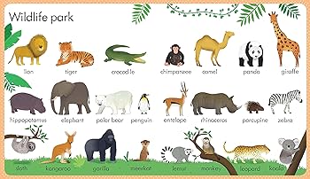 Usborne - My First Word Book About Nature