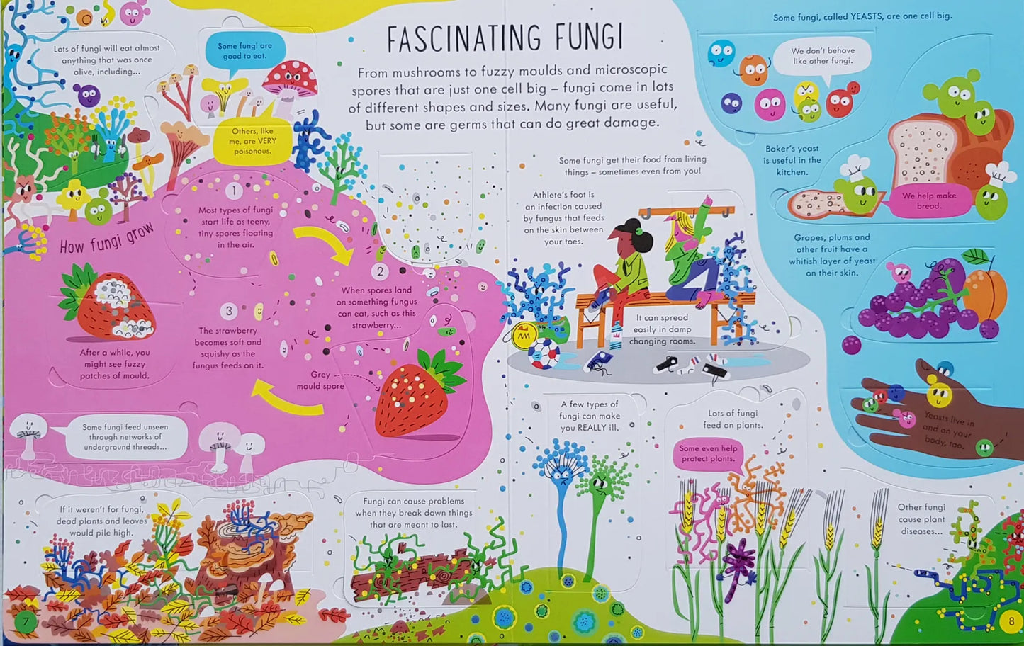 Usborne – See Inside Germs (Sarah Hull)