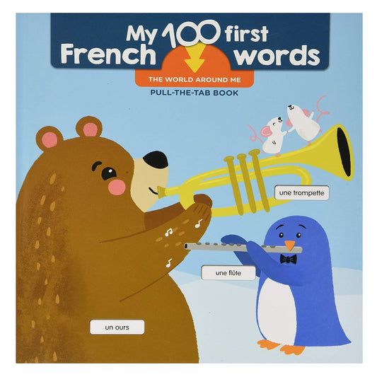 MY FİRST 100 FRENCH WORDS: WORLD AROUND ME (BİLİNGUAL BOARD BOOK)