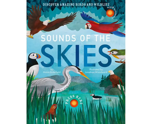 Sounds of the Skies – Little Tiger Press