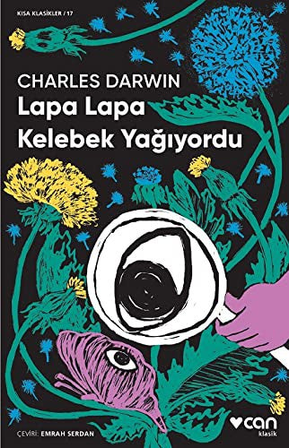LAPA LAPA KELEBEK YAĞIYORDU (KISA KLASİK)